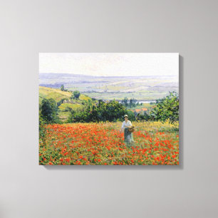 Woman in a Poppy Field Canvas Print