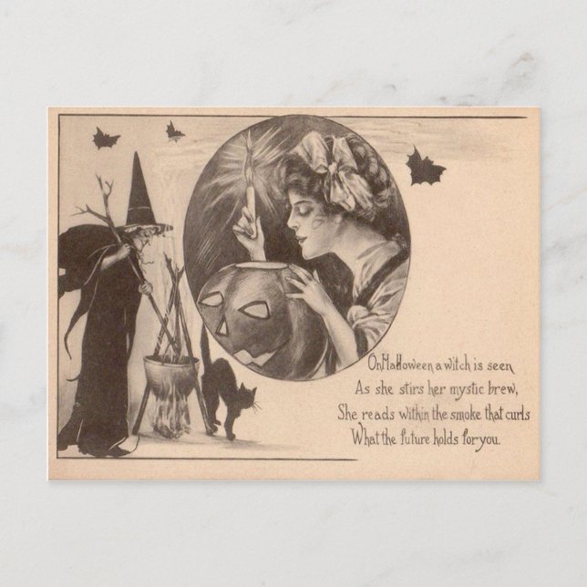 Woman Jack O' Lantern Witch Black Cat Postcard (Front)