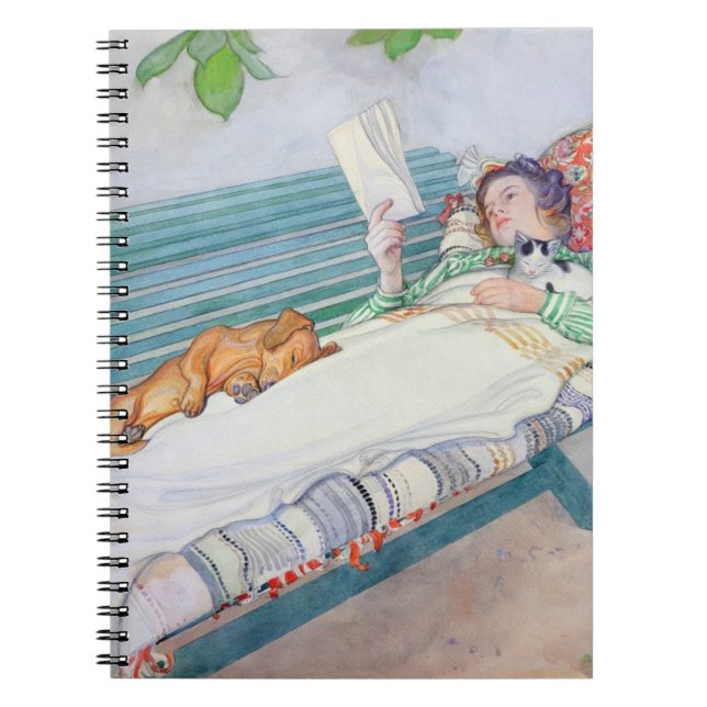 Woman Lying on a Bench, 1913 (w/c on paper) Spiral Notebook (Front)