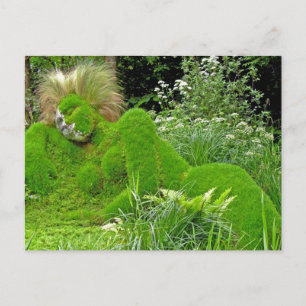 Woman of Grass Postcard