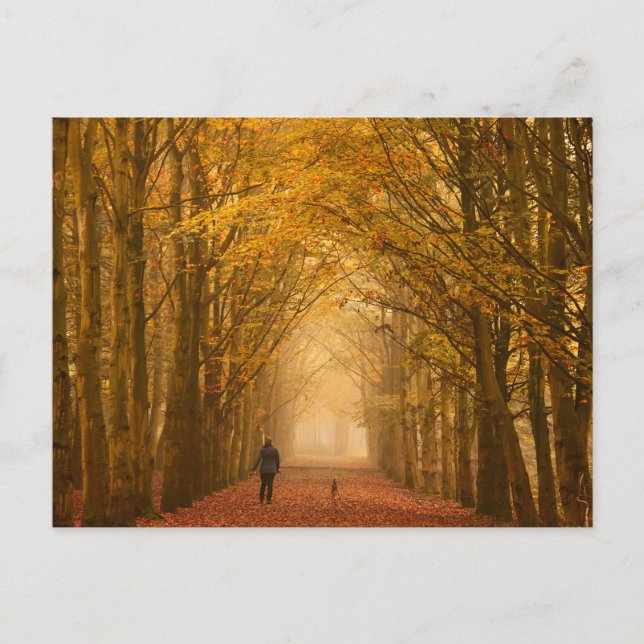 Woman walking with her dog in fall postcard (Front)