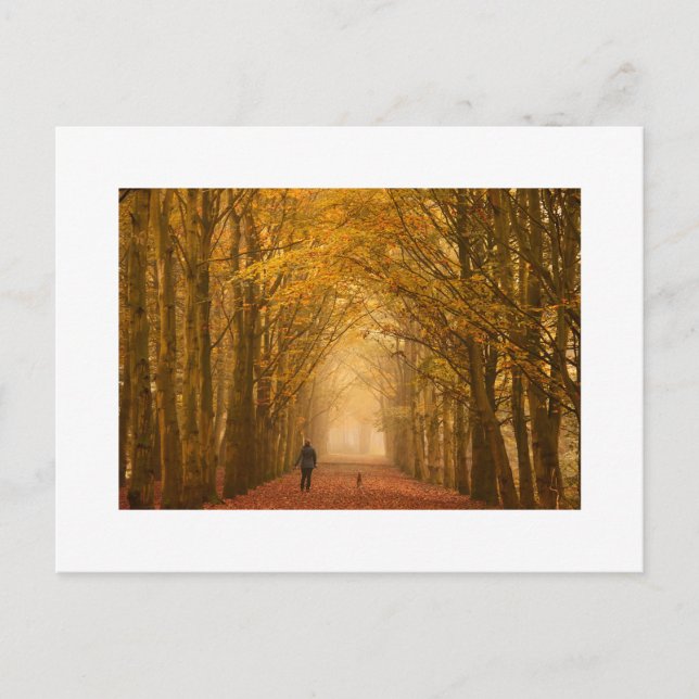Woman walking with her dog on fall morning card (Front)