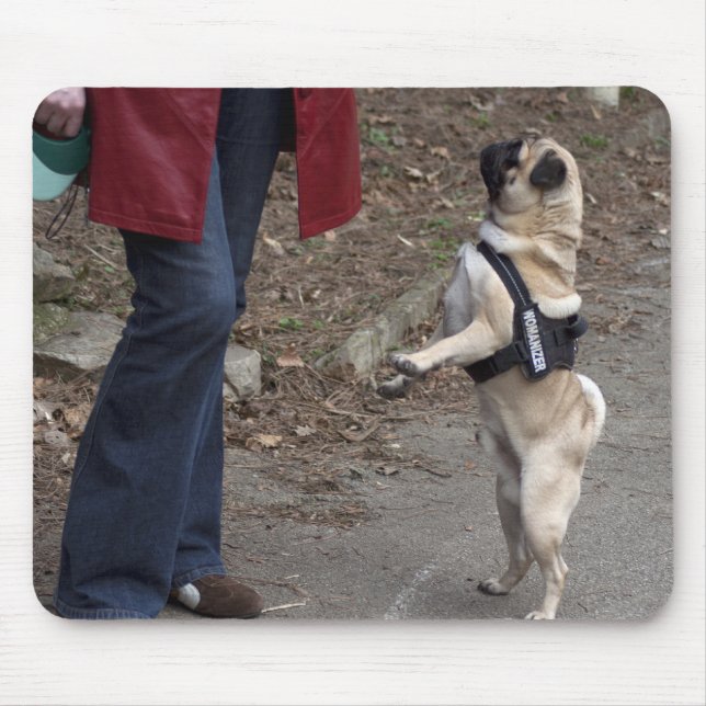 Womanizer Mouse Pad (Front)