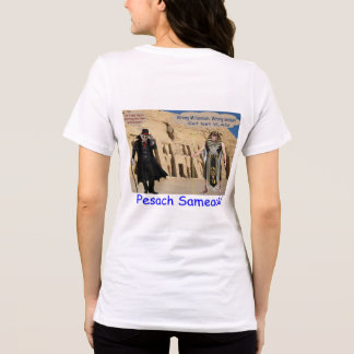 womans bella tee. Happy Passover. loris/monkey Tri-Blend Shirt