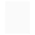 Womans Emerald Green and Gold Birthday Party Glam