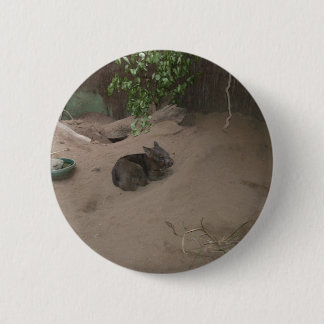 Wombat 6 Cm Round Badge
