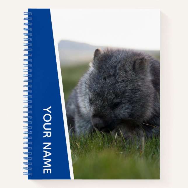 Wombat Australia Cute Animal eating Grass, Blue Notebook (Front)