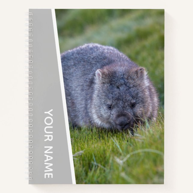 Wombat Australia Cute Animal, Silver Notebook (Front)