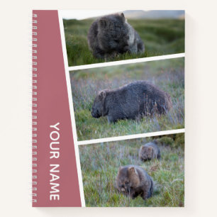 Wombat Australia Photo Collage, Rose Gold Notebook