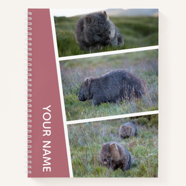 Wombat Australia Photo Collage, Rose Gold Notebook (Front)