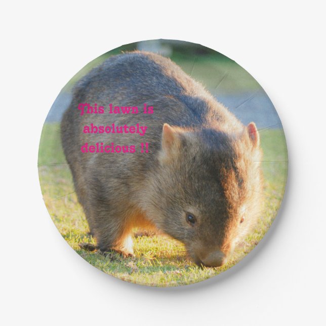 Wombat Funny Cute Australian Nature Photography Paper Plate (Front)
