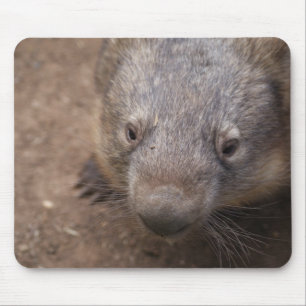 Wombat Kiss Mouse Pad