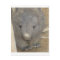 Wombat