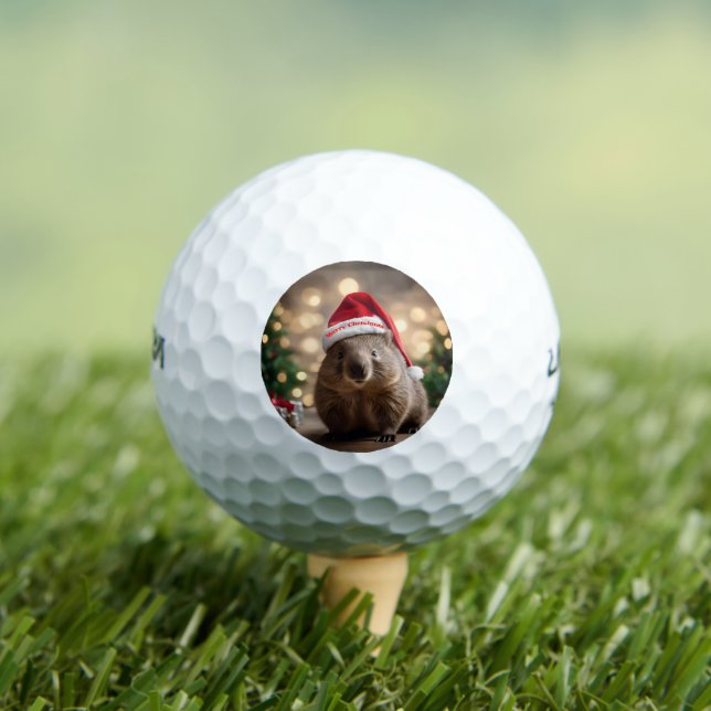 "Wombat Wonderland: A Cozy Christmas Eve" Golf Balls (Insitu Tee)