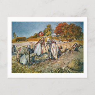 Women Digging Potatoes Holiday Postcard