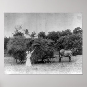 Women Farmers Poster