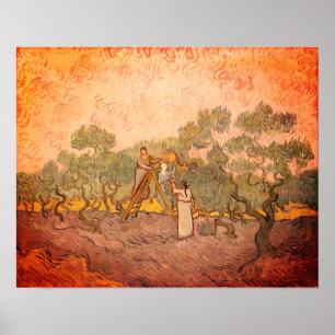 Women Picking Olives by van Gogh: Poster