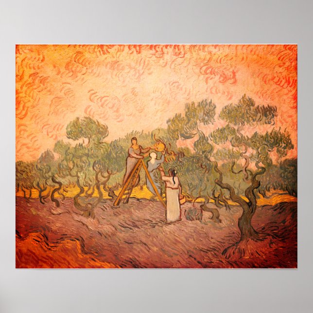 Women Picking Olives by van Gogh:  Poster (Front)