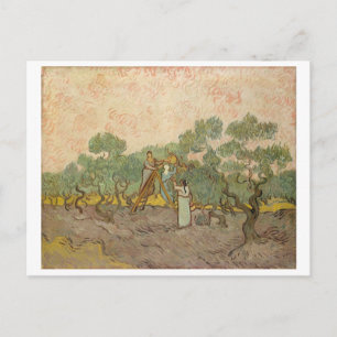 Women Picking Olives (F655) Van Gogh Fine Art Postcard