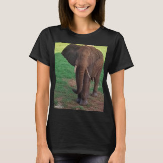 Women’s Basic T-Shirt – African Elephant Portrait