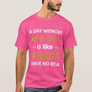 Womens A Day Without My Shaolin Kung Fu Is Like Ju T-Shirt