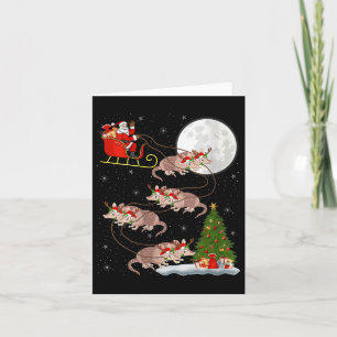 Womens Armadillo Santa Sleigh Flying Funny Magical Card