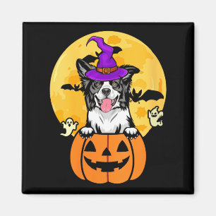 Womens Black And White Border Collie Witch Dog Magnet
