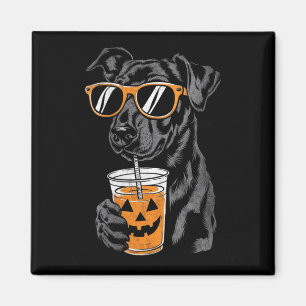 Womens Black Dog With Pumpkin Drink Sungles Magnet