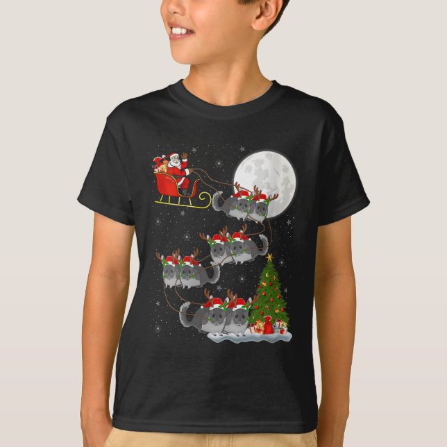 Womens Chinchilla Santa Sleigh Flying Funny Magica T-Shirt (Front)