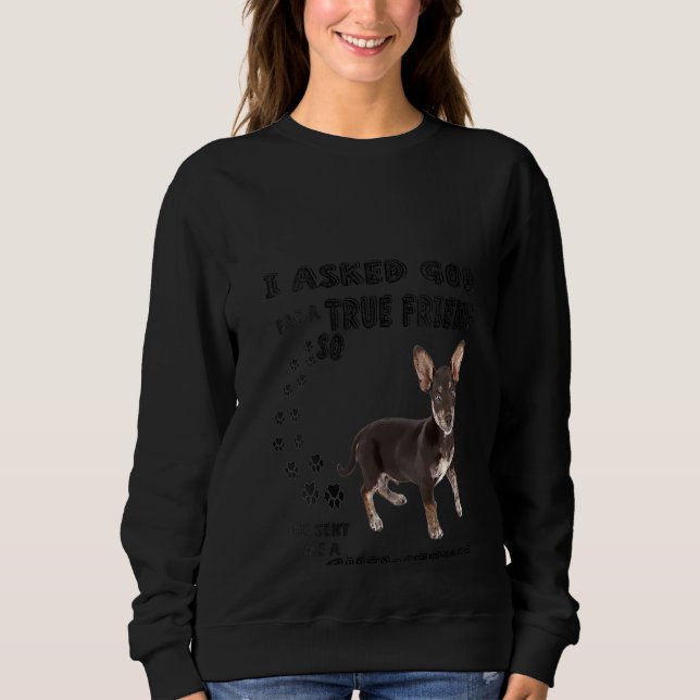 Womens Chiweenie Saying Mum Dad Print Dachshund Ch Sweatshirt (Front)