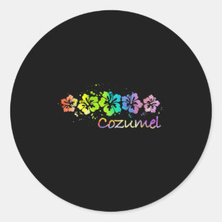 Womens Cozumel, Mexico Watercolor Beach &amp; Surf Classic Round Sticker