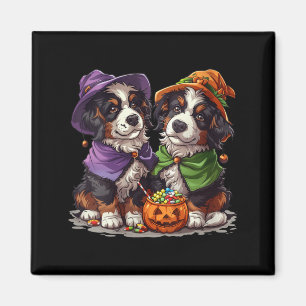 Womens Cute Bernese Mountain Dogs Witch Pumpkin Magnet