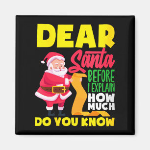 Womens Dear Santa Before Explain How Much Do Know Magnet