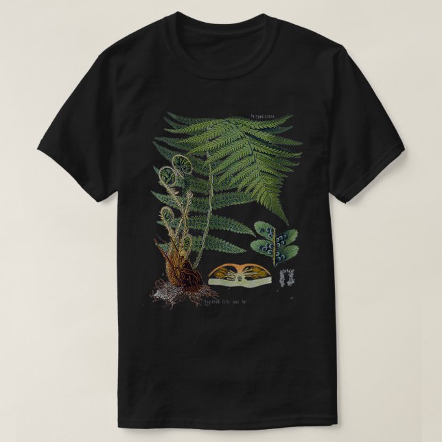 Womens Fern Botanical Plant Botany VNeck  T-Shirt (Design Front)
