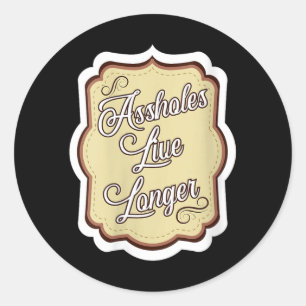 Womens Funny Sarcastic Humour Sarcasm Quote Holes Classic Round Sticker