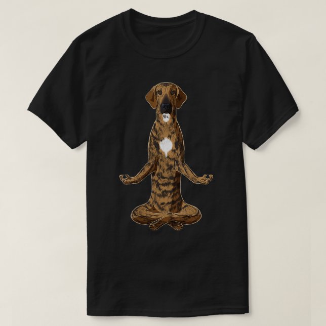 Womens Funny Yoga Dog Plott Hound VNeck  T-Shirt (Design Front)