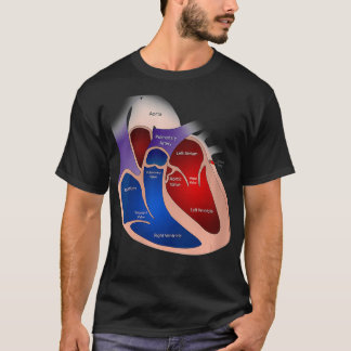 Womens Heart Anatomy VNeck  T-Shirt