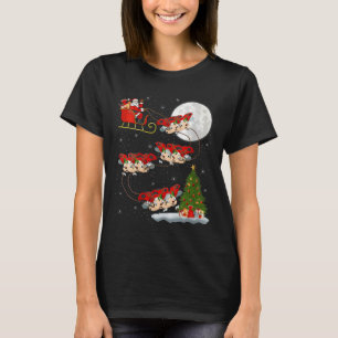 Womens Ladybug Ladybird Santa Sleigh Flying Funny T-Shirt