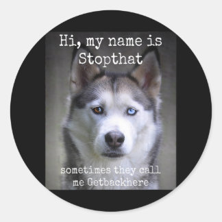 Womens My Name Is Stopthat Funny Hyper Siberian Classic Round Sticker