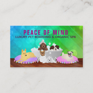 Women's Pets Care and Dog Walking Business Cards