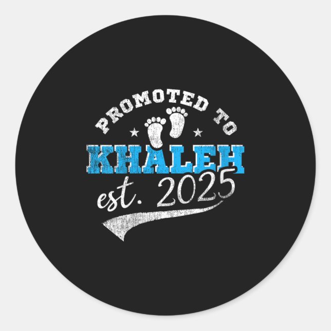 Womens Promoted To Khaleh 2025 New Iranian Aunt Vi Classic Round Sticker (Front)