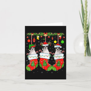 Womens Russell Terrier Dog In Christmas Socks Funn Card