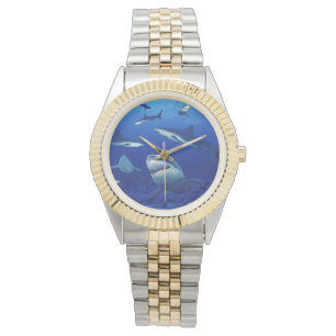 Women's Sharks Two-Tone Watch