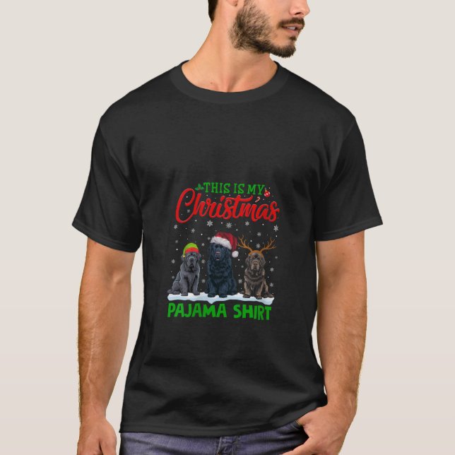Womens Xmas Santa Hat Reindeer Newfoundland Dog Ch T-Shirt (Front)