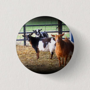 Wonder Goats 3 Cm Round Badge