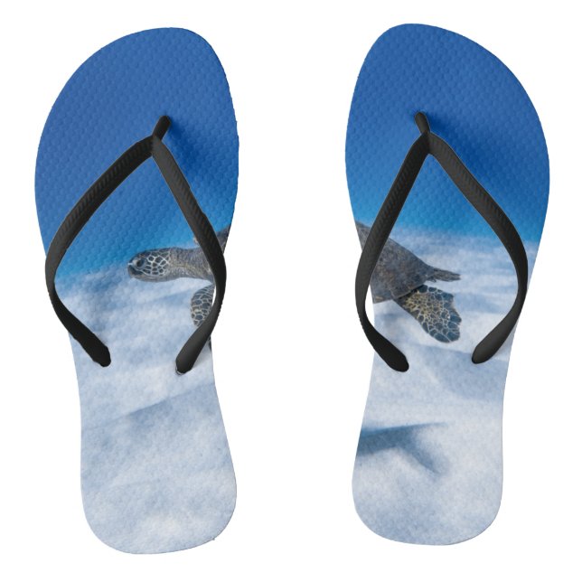 Wonderful Aquatic Turtle Jandals (Footbed)