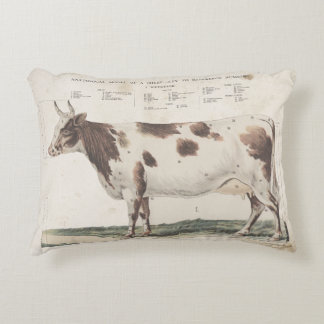 Wonderful & beautiful vintage cow pillow. decorative cushion