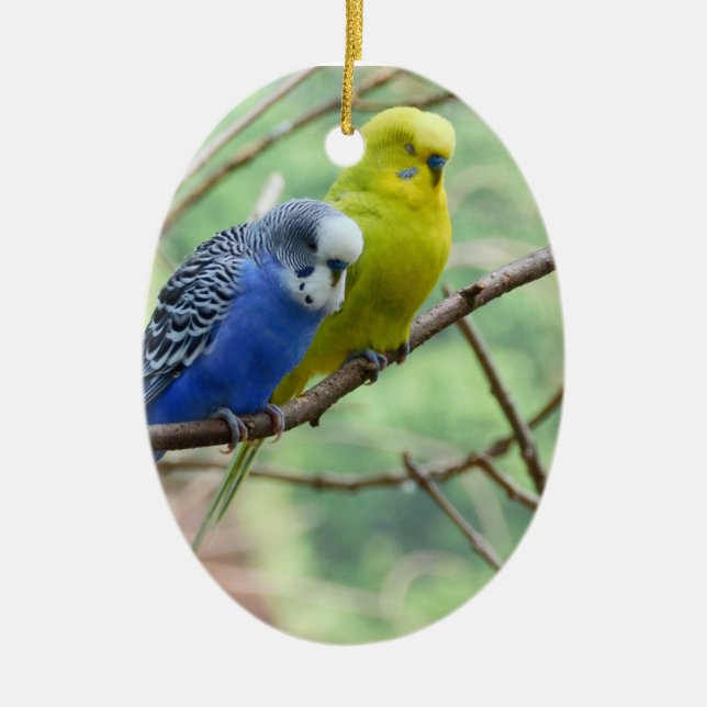 Wonderful Budgie Ceramic Tree Decoration (Front)