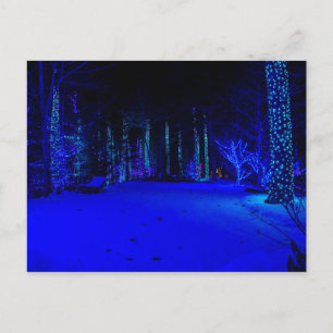 Wonderful Christmas Time Postcard