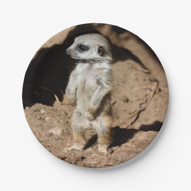 Wonderful Cute Sweet African Meerkat Animal Paper Plate (Front)